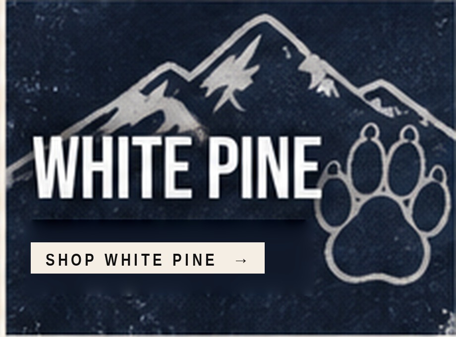 WHITE PINE